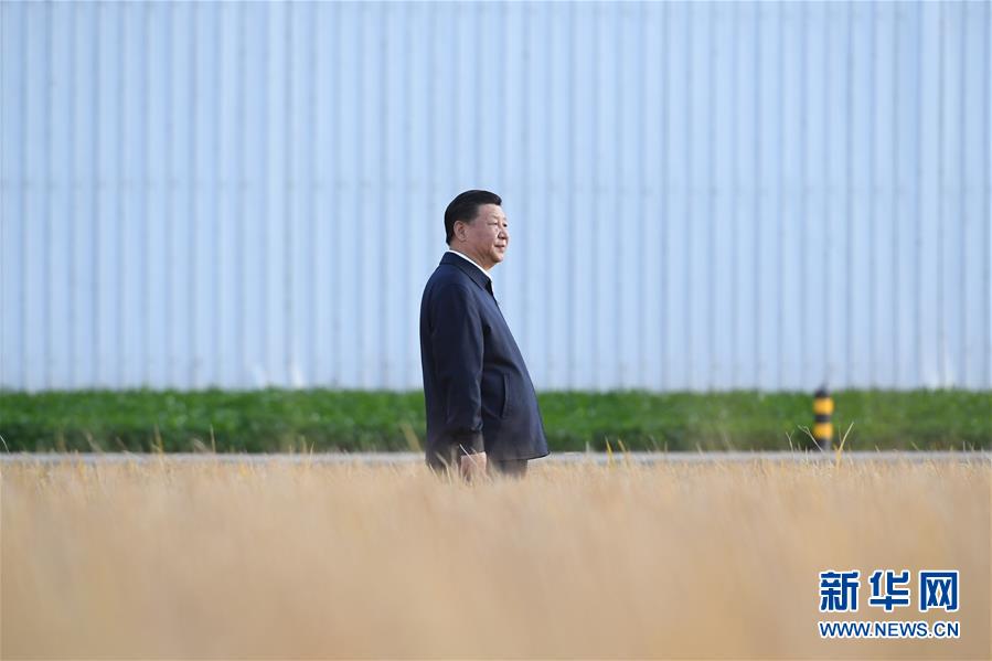 2018年9月25日,中共中央總書記、國家主席、中央軍委主席習近平抵達黑龍江省開始考察。這是習近平在黑龍江農(nóng)墾建三江管理局了解糧食生產(chǎn)和收獲情況。 新華社記者燕雁攝 2018年9月25日,中共中央總書記、國家主席、中央軍委主席習近平抵達黑龍江省開始考察。這是習近平在黑龍江農(nóng)墾建三江管理局了解糧食生產(chǎn)和收獲情況。 新華社記者燕雁攝