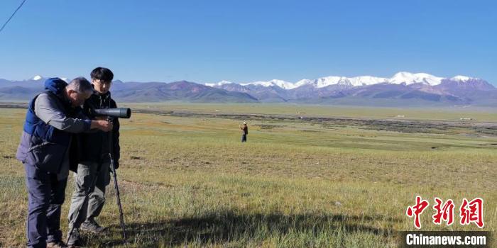 圖為工作人員正在進(jìn)行黑頸鶴衛(wèi)星跟蹤和環(huán)志工作?！∑钸B山國家公園青海省管理局供圖 攝