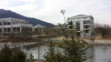 45341419475615296 (1).jpg