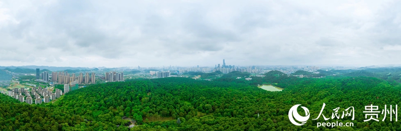 林城貴陽。人民網(wǎng) 涂敏攝 林城貴陽。人民網(wǎng) 涂敏攝