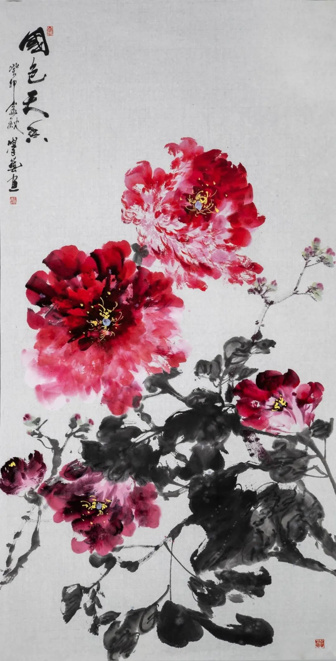 圖片
