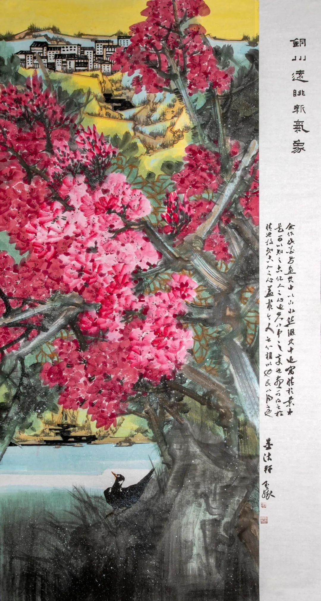 圖片