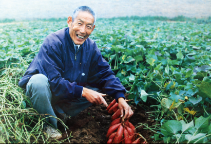QQ截圖20160601100406.png