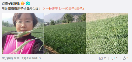 QQ截圖20160425103349.png