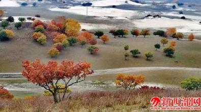 360截圖20161115145829469.jpg