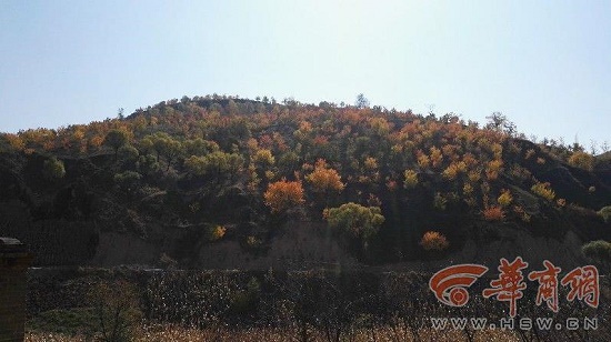 360截圖20151020161949222.jpg