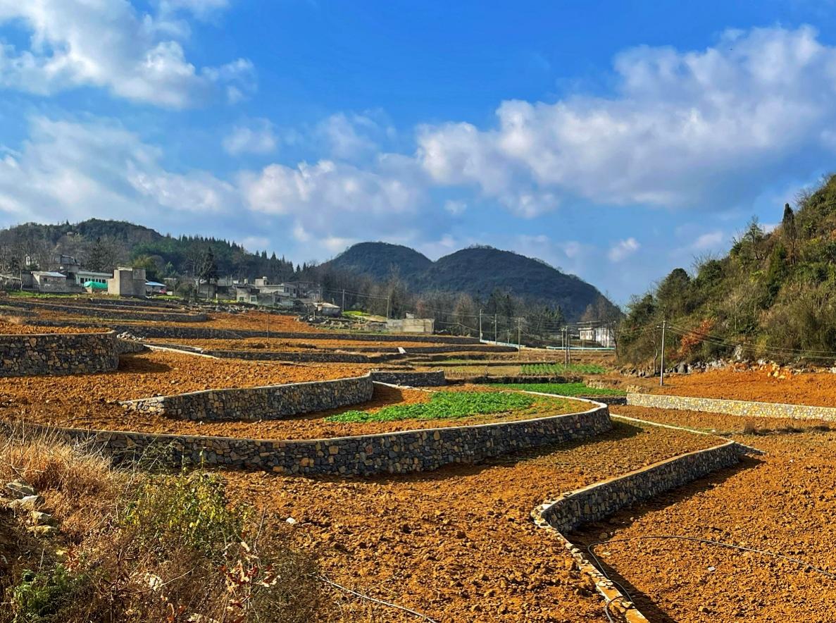 新豐小流域項(xiàng)目石坎坡改梯完工效果。安芮攝