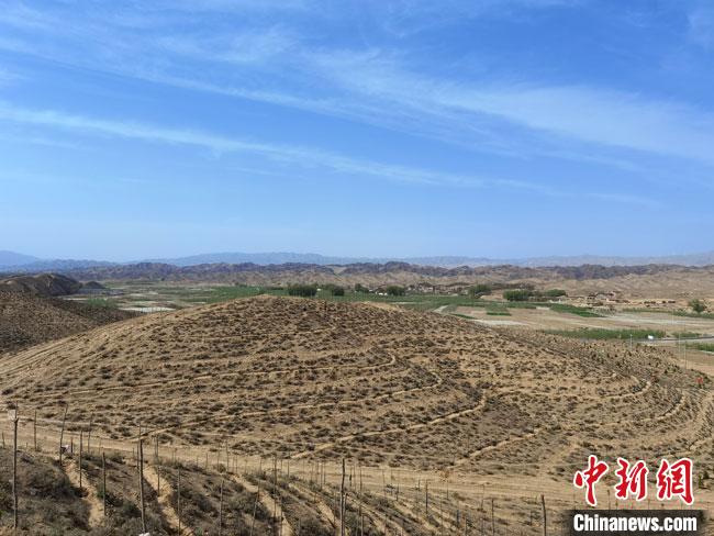 4月底,正在建設中的45萬畝“平川區(qū)國家儲備林項目”?!●T志軍 攝 4月底,正在建設中的45萬畝“平川區(qū)國家儲備林項目”?!●T志軍 攝