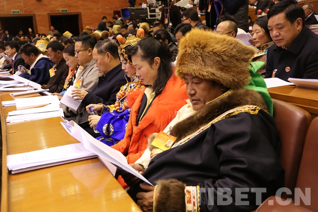 西藏第十屆人民代表大會五次會議開幕 