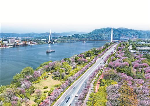 百里柳江穿城而過,沿岸風(fēng)光旖旎。 柳州市生態(tài)環(huán)境局供圖