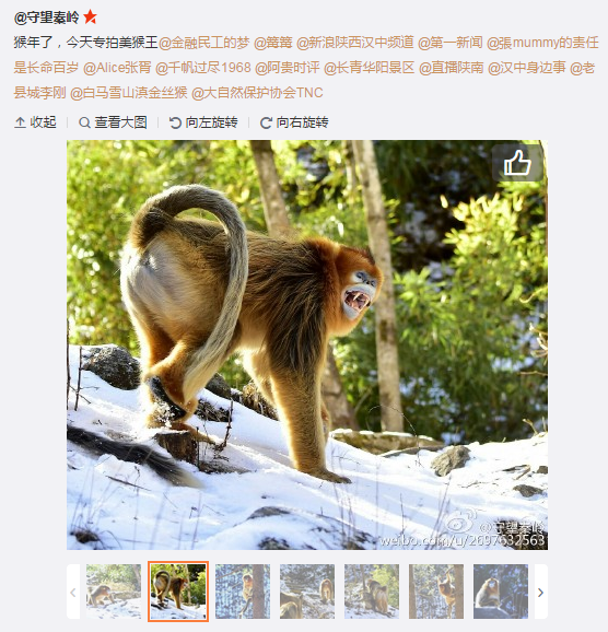 QQ截圖20160126135003.png