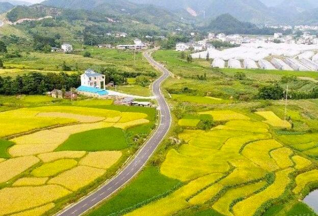 持續(xù)深化農村改革激發(fā)鄉(xiāng)村振興動力活力