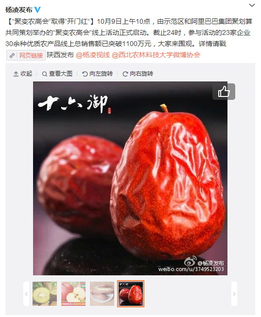 搜狗截圖15??0??0??437_9.png