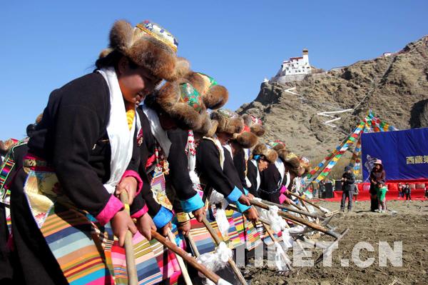 雍布拉康山腳下“鐵?！遍_啟春耕“第一犁”
