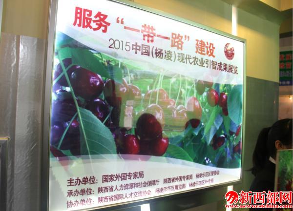 QQ截圖20151110104650.png