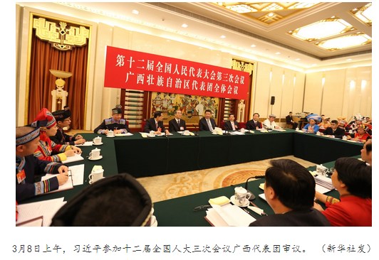 習(xí)近平在廣西團(tuán):扶貧少搞盆景多搞實事