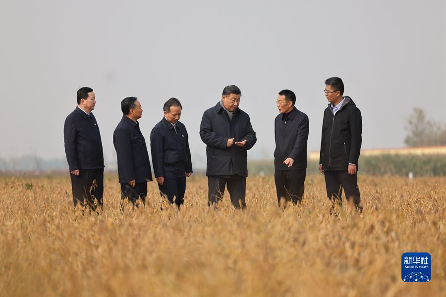 2021年10月22日下午,中共中央總書記、國家主席、中央軍委主席習近平在山東省濟南市主持召開深入推動黃河流域生態(tài)保護和高質(zhì)量發(fā)展座談會并發(fā)表重要講話。這是座談會前,習近平21日上午在東營市黃河三角洲農(nóng)業(yè)高新技術(shù)產(chǎn)業(yè)示范區(qū)考察時,走進田間察看大豆長勢。 2021年10月22日下午,中共中央總書記、國家主席、中央軍委主席習近平在山東省濟南市主持召開深入推動黃河流域生態(tài)保護和高質(zhì)量發(fā)展座談會并發(fā)表重要講話。這是座談會前,習近平21日上午在東營市黃河三角洲農(nóng)業(yè)高新技術(shù)產(chǎn)業(yè)示范區(qū)考察時,走進田間察看大豆長勢。