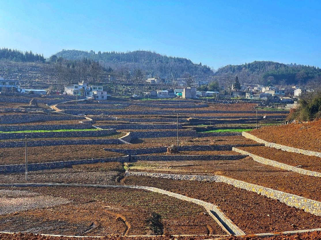 新豐小流域項(xiàng)目石坎坡改梯完工效果。安芮攝