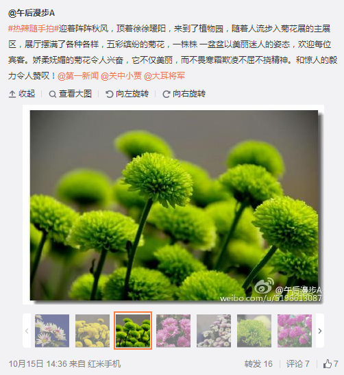 搜狗截圖15??0??6??913_4.png
