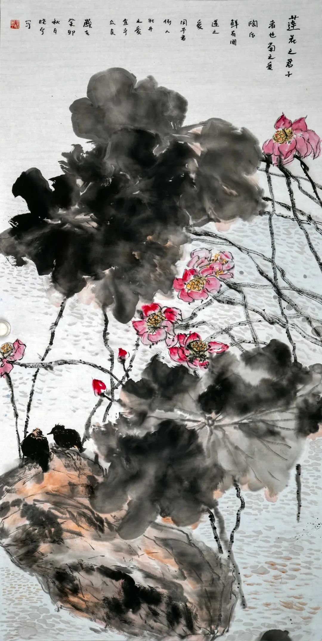 圖片