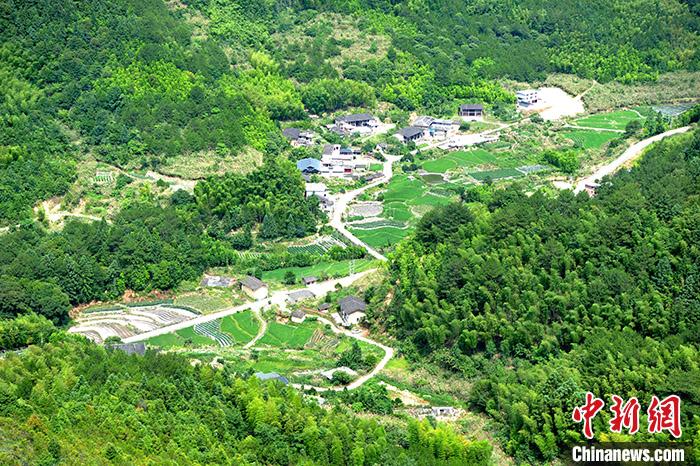 圖為6月30日,福建省三明市,綠意盎然的小山村。<a target='_blank' >中新社</a>記者 張斌 攝 點(diǎn)擊進(jìn)入下一頁(yè)