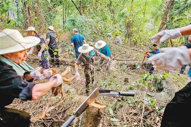 八月二十三日，巴南區(qū)南泉街道火災救援現場。記者 崔力 攝\視覺重慶