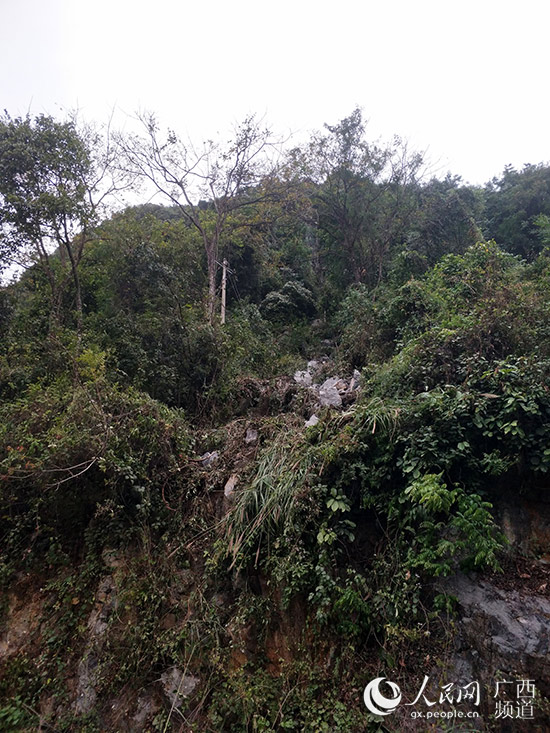 地震引發(fā)山石滾落