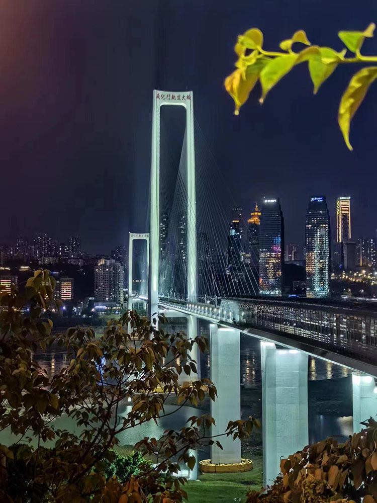 重慶的大橋。 人民網(wǎng) 鐘文興攝 重慶的大橋。 人民網(wǎng) 鐘文興攝