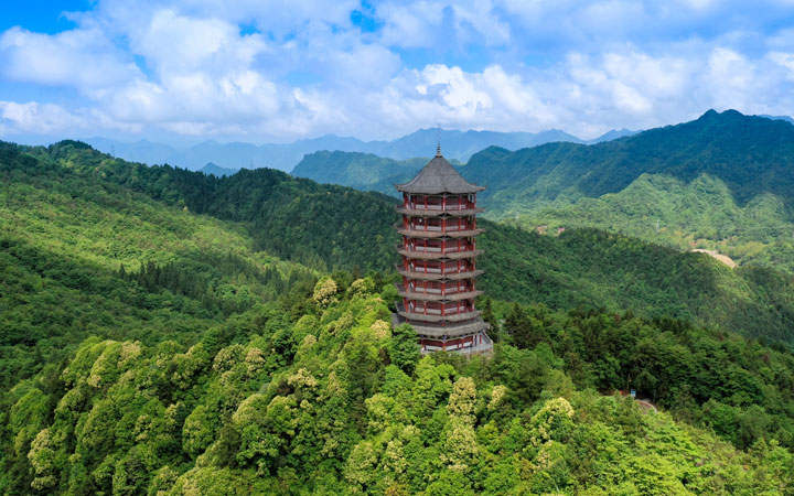 箐山公園。