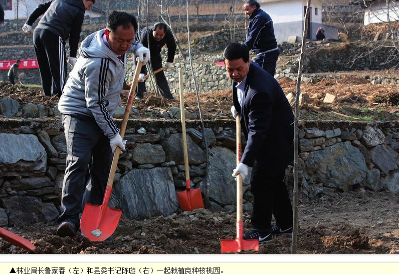 360桌面截圖20160324134307.jpg