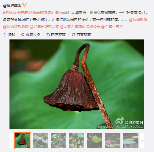搜狗截圖15??0??0??413_3.png