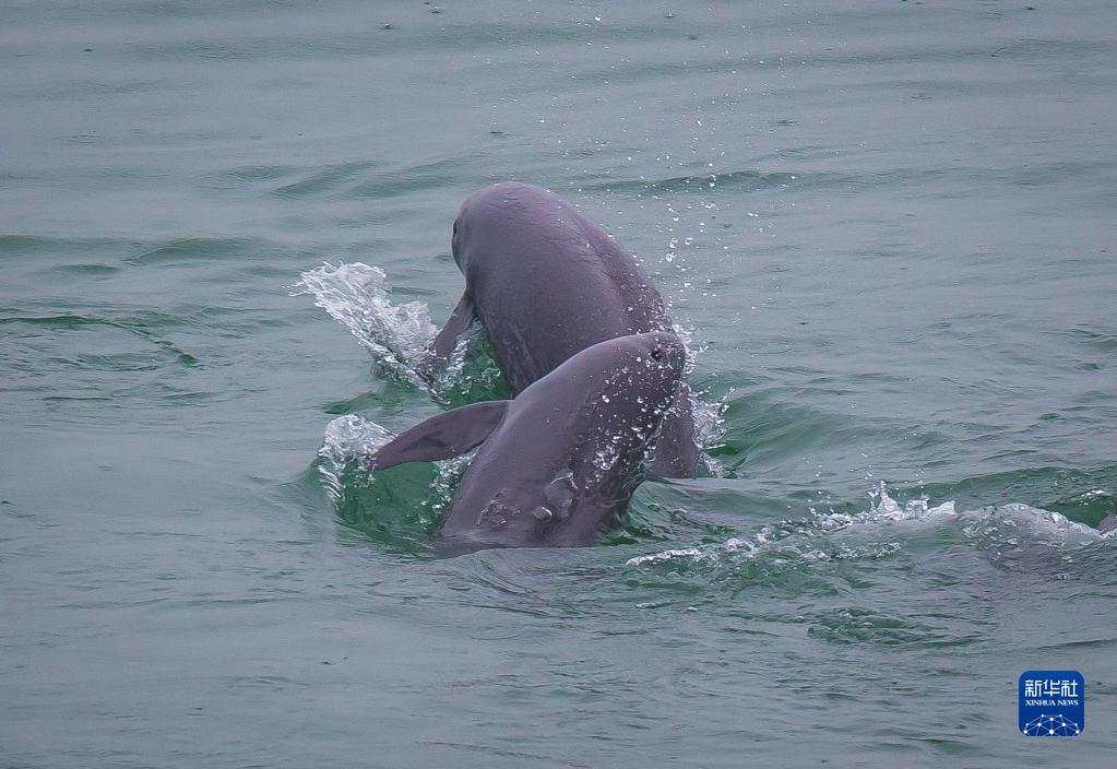 點(diǎn)擊進(jìn)入下一頁(yè) 點(diǎn)擊進(jìn)入下一頁(yè)