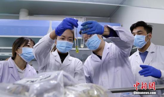 資料圖:青海省藏醫(yī)院藏藥制劑室工作人員對(duì)藥品成分進(jìn)行檢測(cè)。<a target='_blank' >中新社</a>記者 馬銘言 攝 資料圖:青海省藏醫(yī)院藏藥制劑室工作人員對(duì)藥品成分進(jìn)行檢測(cè)。<a target='_blank' >中新社</a>記者 馬銘言 攝