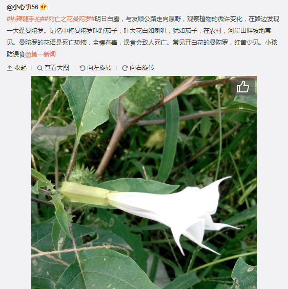 搜狗截圖15??9??7??540_12.png