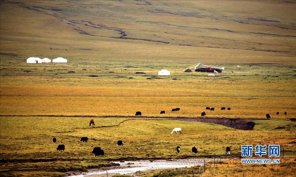 “全民主體”參與三江源國家公園建設(shè)