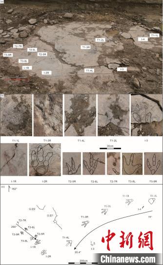 點(diǎn)擊進(jìn)入下一頁