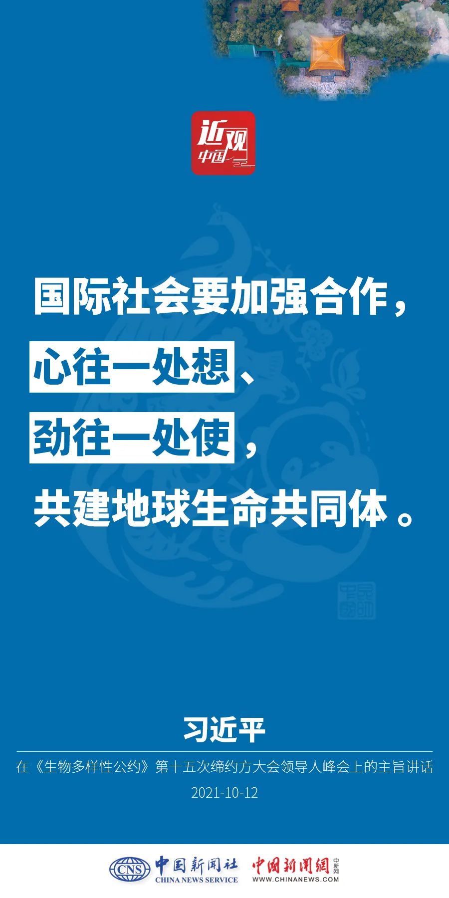 點(diǎn)擊進(jìn)入下一頁