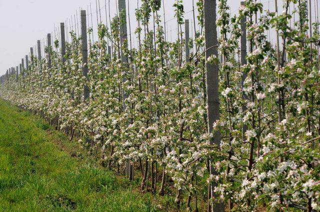 陜西省第二屆山地自行車超級(jí)挑戰(zhàn)賽在寶雞千陽縣舉行