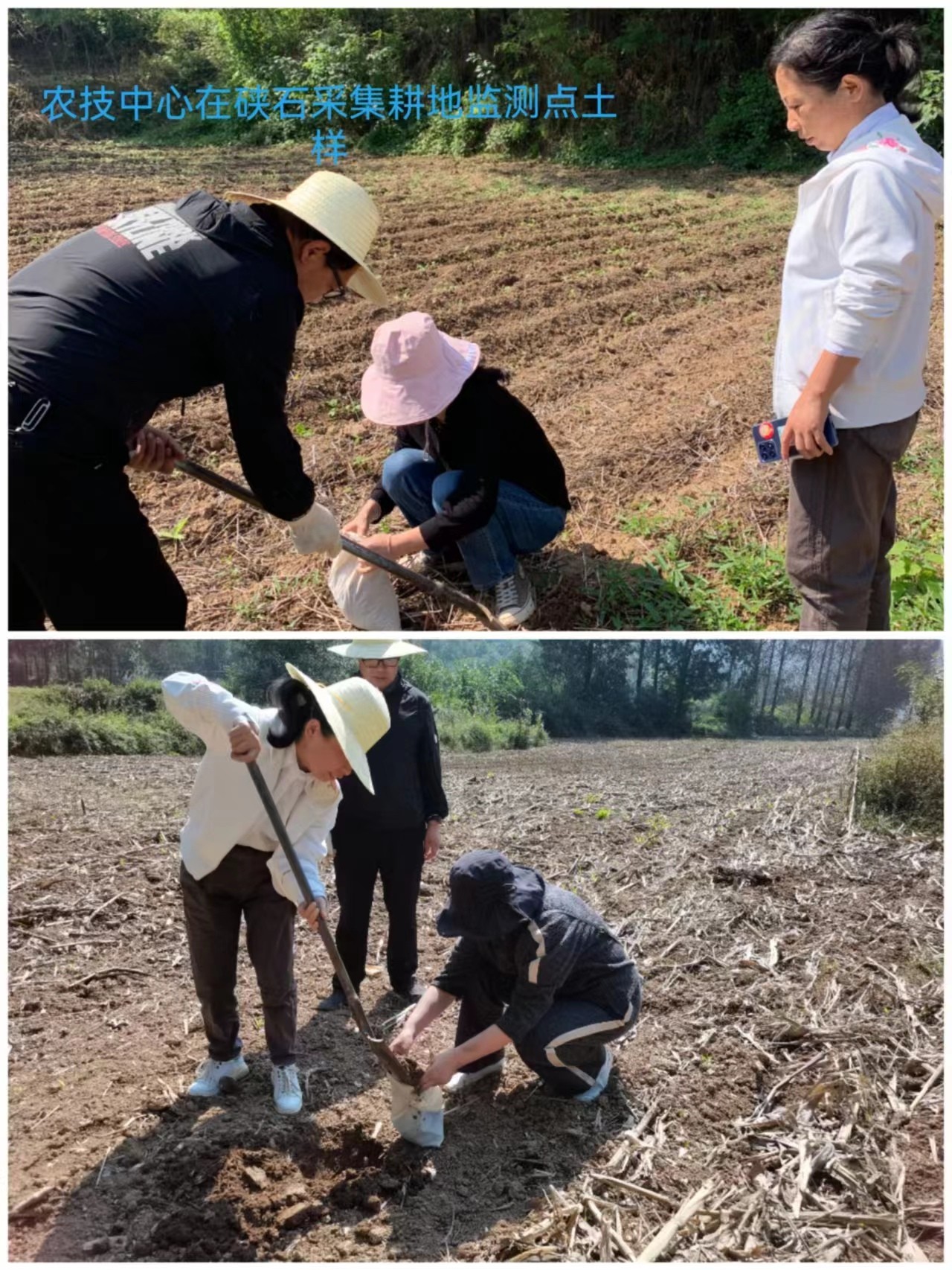 1664325590561048077.jpg 1664325590561048077.jpg