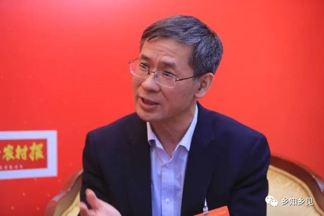 中國社會科學(xué)院農(nóng)村發(fā)展研究所所長、研究員魏后凱 圖片