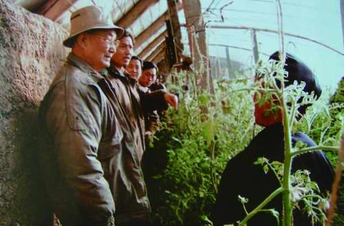 新西??014-06期最終版PDF.jpg