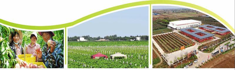 富平縣到賢鎮(zhèn)產(chǎn)業(yè)引領(lǐng)推動“產(chǎn)業(yè)+文化+旅游”融合發(fā)展 富平縣到賢鎮(zhèn)產(chǎn)業(yè)引領(lǐng)推動“產(chǎn)業(yè)+文化+旅游”融合發(fā)展