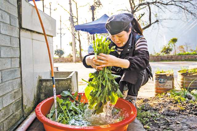 1月12日，巫山縣竹賢鄉(xiāng)下莊村，楊慈正在自家農(nóng)家樂里洗菜備餐。