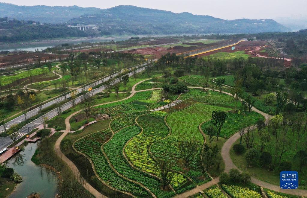 點(diǎn)擊進(jìn)入下一頁(yè) 點(diǎn)擊進(jìn)入下一頁(yè)